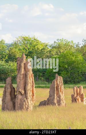 Termitenmounds im Northern Territory von Australien. Stockfoto