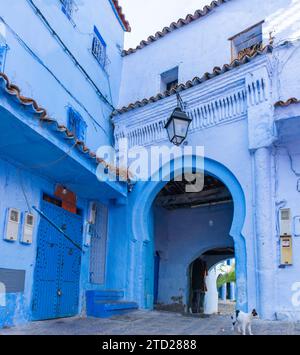 Gebäude mit einem Eingang mit einem halbrunden Bogen, im arabischen Stil, an der blau bemalten Straße in der Medina von Chefchaouen, Marokko Stockfoto