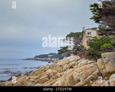 Wunderschöne Küstenlandschaft mit Wildblumen im Point Lobos State Natural Reserve, Kalifornien, an einem nebeligen Sommermorgen. Stockfoto