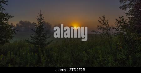 Ein nebeliger Sonnenaufgang über einem Heufeld im Norden von Wisconsin. Stockfoto