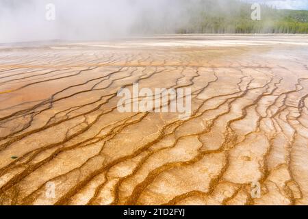 Ansicht des Yellowstone National Park in Wyoming, USA. Stockfoto