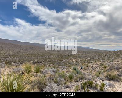 Woman wandert im Winter über den Telephone Canyon Trail in die Big Bend Wilderness Stockfoto