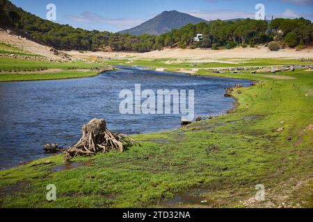 07/27/2016. Cebreros (Ávila), 27.07.2019. Calas de Guisando Urbanisierung. Der Schwanz des San Juan-Sumpfes ist aufgrund der Dürre praktisch trocken. Nur der Alberche River fließt durch seinen natürlichen Kanal. Boote und Liegeplätze werden auf dem Trockenbett verlassen. Foto: Guillermo Navarro. ARCHDC. Quelle: Album / Archivo ABC / Guillermo Navarro Stockfoto