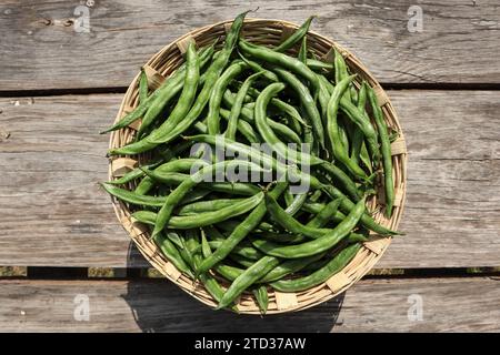 Frisches indisches Gemüse Valor Bohnen oder Hyazinthen Bohnen, bekannt als Val Papdi Bohnen, Surti Bohnen oder vaal Bohnen Gemüse im Korb Stockfoto