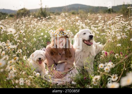 Weibliche Hunde Wiesen-Kamille. Die Frau umarmt ihre pelzigen Freunde auf einem ruhigen Kamillenfeld, umgeben von üppigem Grün. Ein herzerwärmendes Liebesbeweis Stockfoto