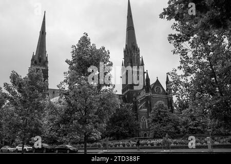 St Paul's Cathedral in Melbourne, Australien in Schwarz-weiß Stockfoto