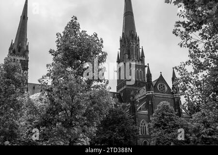 St Paul's Cathedral in Melbourne, Australien in Schwarz-weiß Stockfoto