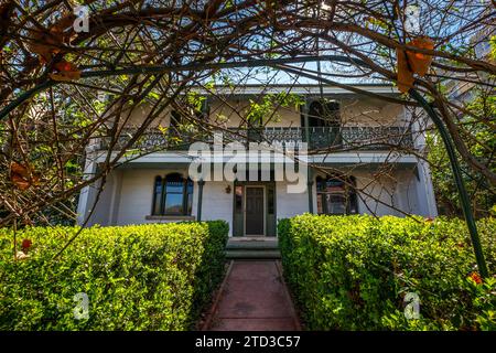 Viktorianische Reihenhäuser in Glebe, Sydney, NSW, Australien. Stockfoto