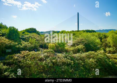 Seoul, Südkorea - 1. Oktober 2023: Das üppige Grün des Godeok Ecological Parks im Vordergrund mit der Godeok Grand Bridge in der Ferne un Stockfoto