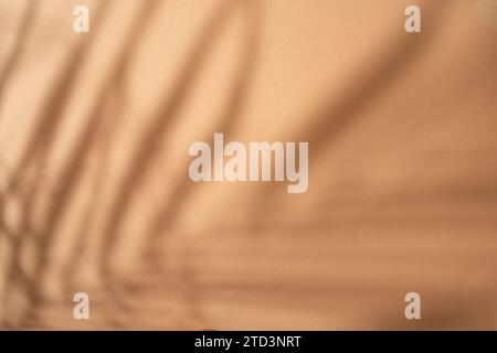 Pfirsichfarbener Hintergrund mit Pflanzenschatten, abstraktem, unscharfen Hintergrund Stockfoto
