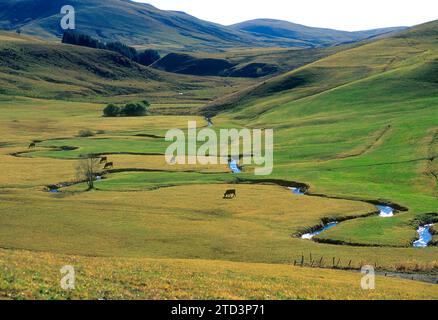 Tal von Jassy. Berg von Cezallier, Département Puy de Dome, Auvergne-Rhone-Alpes, Frankreich Stockfoto