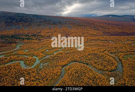 Drohnenaufnahme, Blick auf das Tal Ladtjovagge mit dem sich schlängelnden Fluss Ladtjojakka, Birkenwälder, Herbst, intensive Färbung, Nikkaluokta, Kiruna Stockfoto