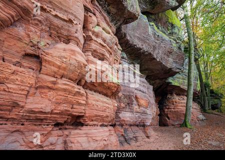 Altes Burggestein, rote Sandsteinformation, Natur- und Kulturdenkmal, Brechenberg bei Eppenbrunn, Pfälzerwald, Rheinland-Pfalz Stockfoto