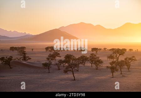 Sonnenuntergang in der Namib-Wüste, Akazien und Berge im letzten Abendlicht, NamibRand Nature Reserve, Namibia Stockfoto