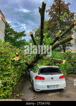 Bäume fielen nach einem Sturm auf Autos, Parkplatz in Wolfratshausen, Bayern Stockfoto