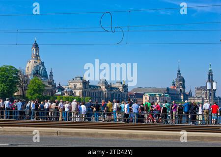 Dampfschiffparade auf der Elbe Stockfoto