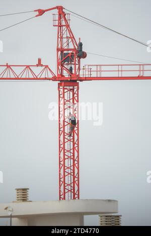 Professioneller Kranfahrer, der den Kran in großer Höhe inspiziert, Konzept für gefährliche Arbeiten Stockfoto