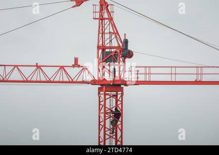 Professioneller Kranfahrer, der den Kran in großer Höhe inspiziert, Konzept für gefährliche Arbeiten Stockfoto