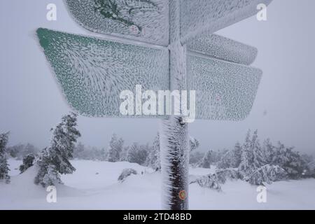 16. Dezember 2023, Sachsen-Anhalt, Schierke: Raureif und Schnee bedecken ein Schild auf dem Brocken. Die milden Temperaturen der letzten Tage haben den Schnee in den unteren Bergregionen zum Auftauen gebracht. Oberhalb von 900 Metern beginnt die Winterlandschaft im Oberharz. Foto: Matthias Bein/dpa Stockfoto