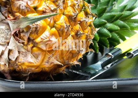 Reife, lebendige Ananas auf einem schwarzen Teller mit Messer und Gabel, Lebensmittelfotografie Stockfoto