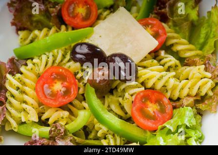 Frischer, gesunder, hausgemachter italienischer Fusilli-Pasta-Salat mit Parmesan, pachino-Kirschtomaten, schwarzen Oliven und gemischtem Gemüse, gewürzt mit Stockfoto