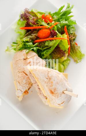 Thunfisch- und Käsesandwich mit frischem gemischtem Salat, LECKERES ESSEN IM PORTFOLIO, Lebensmittelfotografie Stockfoto