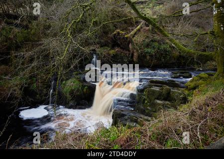 Wasserfälle im Glenariff Forest Park, County Antrim, Nordirland Stockfoto