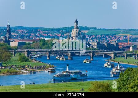 Dampfschiffparade auf der Elbe Stockfoto