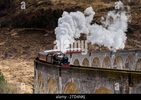 Der Jakobitenzug fährt über den Glenfinnan Viaduct, Highlands, Schottland. Berühmt durch die Harry-Potter-Filme. Stockfoto