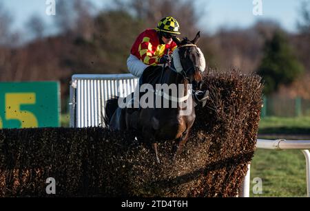 Doncaster, Großbritannien. Dezember 2023. Doncaster, Vereinigtes Königreich. Samstag, 16. Dezember 2023. Onemorefortheroad und Jack Quinlan gewinnen bei Bet365 Handicap Steeple Chase die 6-Pferde-Challenge für Trainer Neil King und Besitzer Rupert Dubai Racing. Credit JTW equine Images / Alamy Live News Credit: JTW equine Images / Alamy Live News Stockfoto