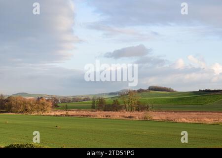 Spätherbst nass Thürer Wiesen Stockfoto