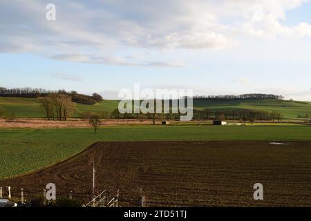 Spätherbst nass Thürer Wiesen Stockfoto