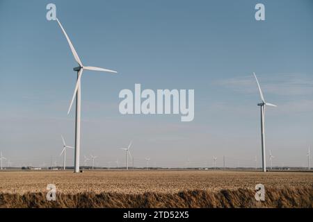 Windturbinen in einem Windpark in Michigans Daumengebiet, Tuscola County Stockfoto