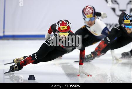 Seoul, Südkorea. Dezember 2023. Dubois Steven aus Kanada (L) tritt beim 1000-m-Finale A Der Männer an der ISU World Cup Short Track Speed Skating-Serie in Seoul (Südkorea) am 16. Dezember 2023 an. (Xinhua/Yao Qilin) Credit: Xinhua/Alamy Live News Stockfoto