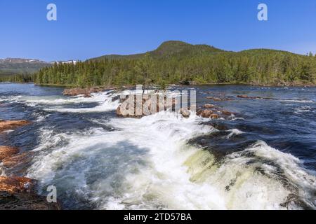 Ein Sommerblick auf den Namsen River in Namsskogan, Trondelag, Norwegen, mit kaskadierendem Wasser über große Felsbrocken, wo einsame Bäume gedeihen, die sich bis in die Höhe treiben Stockfoto