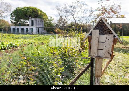 Insektenhotel in einem Bio-Obstgarten Stockfoto