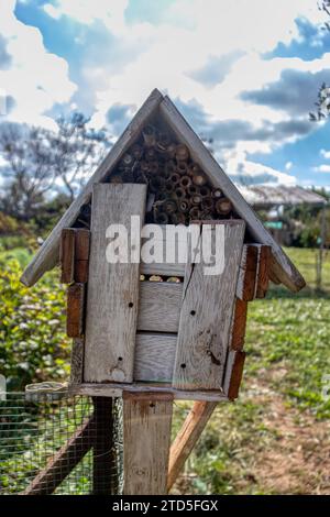 Insektenhaus in einem Bio-Obstgarten Stockfoto