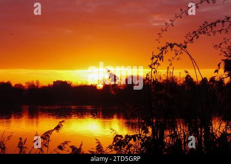 Schneide, bis die Sonne über dem Horizont aufgeht. Silhouette der Vegetation im Vordergrund. Reflexion der Sonne auf einem See. Stockfoto