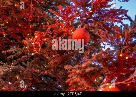 Großer Weihnachtsbaum am Bahnhofsvorplatz in Nürnberg mit orangener Farbe bespritzt. In der vergangenen Woche wurde Weihnachtsbaum Ziel einer Farbattacke der Letzten Generation, welche damit auf das akute Problem des Klimawandels aufmerksam machen möchten. Hier mit eingeschaltener Lichterkette zur Dämmerung am 3. Adventswochenende. *** Großer Tannenbaum am Bahnhofsvorplatz in Nürnberg mit Orangenfarbe bespritzt letzte Woche war der Tannenbaum Ziel eines Farbangriffs der letzten Generation, die hier mit dem Feenlicht auf das akute Problem des Klimawandels aufmerksam machen wollen Stockfoto