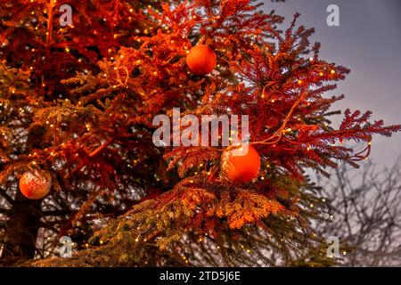 Großer Weihnachtsbaum am Bahnhofsvorplatz in Nürnberg mit orangener Farbe bespritzt. In der vergangenen Woche wurde Weihnachtsbaum Ziel einer Farbattacke der Letzten Generation, welche damit auf das akute Problem des Klimawandels aufmerksam machen möchten. Hier mit eingeschaltener Lichterkette zur Dämmerung am 3. Adventswochenende. *** Großer Tannenbaum am Bahnhofsvorplatz in Nürnberg mit Orangenfarbe bespritzt letzte Woche war der Tannenbaum Ziel eines Farbangriffs der letzten Generation, die hier mit dem Feenlicht auf das akute Problem des Klimawandels aufmerksam machen wollen Stockfoto