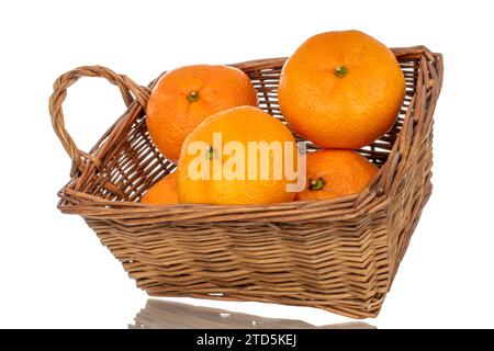 Mehrere saftige süße Mandarinen in einem Korb, Makro, isoliert auf weißem Hintergrund. Stockfoto