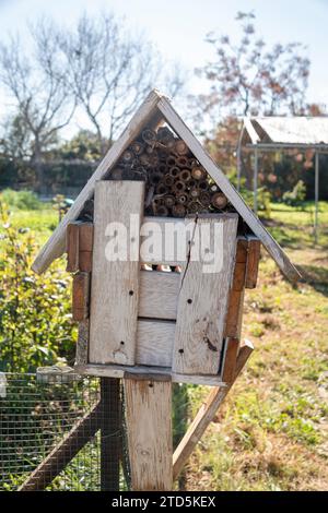 Insektenhotel in einem Bio-Obstgarten Stockfoto