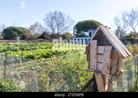 Insektenhotel in einem Bio-Obstgarten Stockfoto