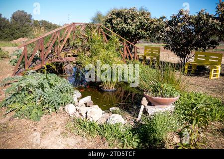 Kleine Holzbrücke über einen Teich mit Karpfen und üppiger Vegetation Stockfoto
