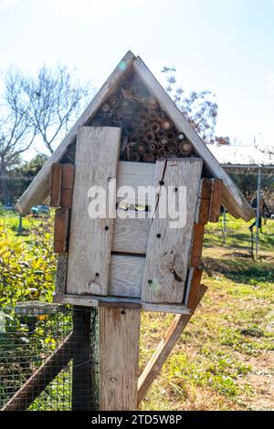 Insektenhaus in einem Bio-Obstgarten Stockfoto