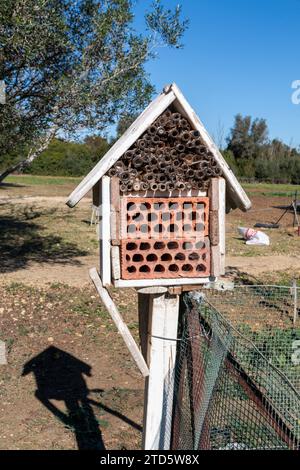 Insektenhaus in einem Bio-Obstgarten Stockfoto