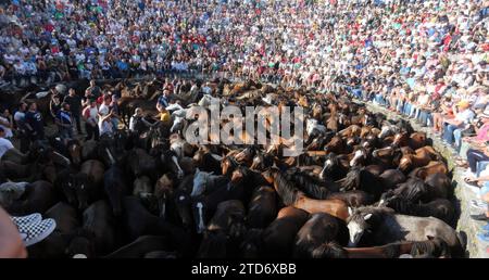 Sabucedo (Pontevedra), 07.08.2018. Rapa Das Bestas. Foto: Miguel Muñiz Archdc. Quelle: Album / Archivo ABC / Miguel Muñiz Stockfoto