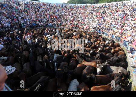 Sabucedo (Pontevedra), 07.08.2018. Rapa Das Bestas. Foto: Miguel Muñiz Archdc. Quelle: Album / Archivo ABC / Miguel Muñiz Stockfoto