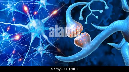 Synapse-Hirnneurologie menschliche Hirnneurologie und kognitive Nervenenden als anatomisches medizinisches Symbol feuernder Nervenzellen und neurologischer Synapsen Stockfoto