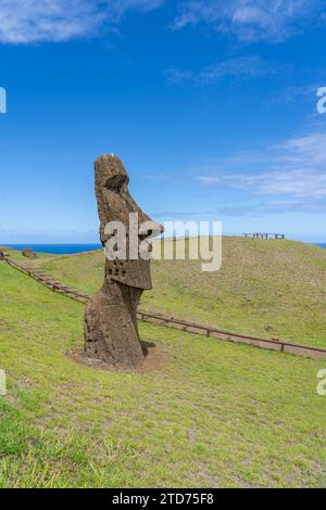 Moai Piro Piro Nahaufnahme in Rano Raraku auf der Osterinsel (Rapa Nui), Chile. Stockfoto